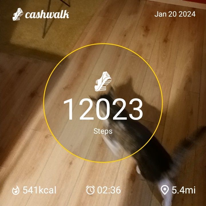 CashWalk_share_capture_20240120_cce8d5f9-59ba-4b32-be23-8c99f43a