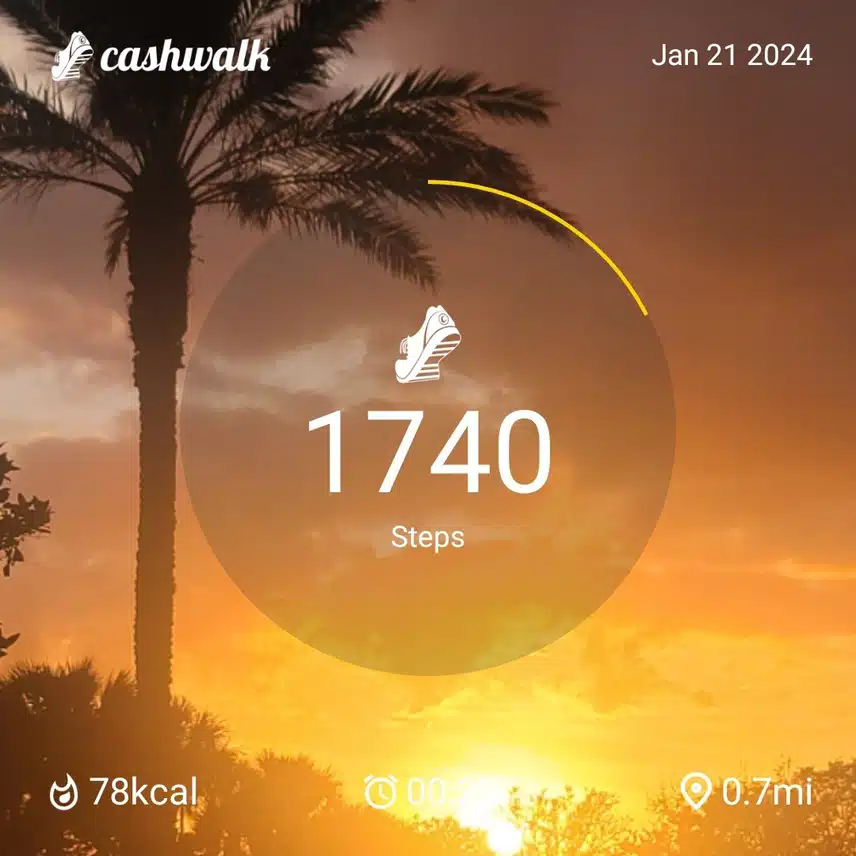 1000090068.jpg_resize