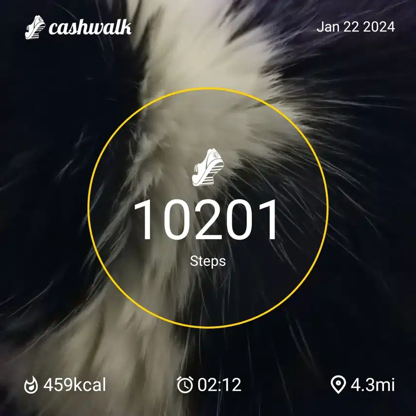 CashWalk_share_capture_20240122_4f6c8c27-508e-48ba-a273-9bc0ae95
