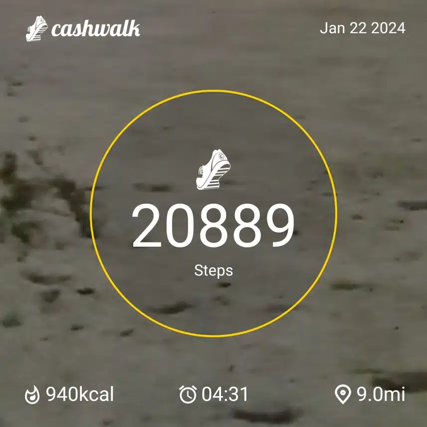 CashWalk_share_capture_20240122_f1ef3919-a055-40c6-afab-406926a6