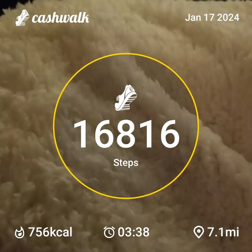 CashWalk_share_capture_20240117_9a2ebde5-4ac4-4915-8c58-b638b450