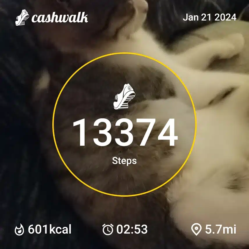 CashWalk_share_capture_20240121_836742ac-4828-48e7-956f-5201d6cf