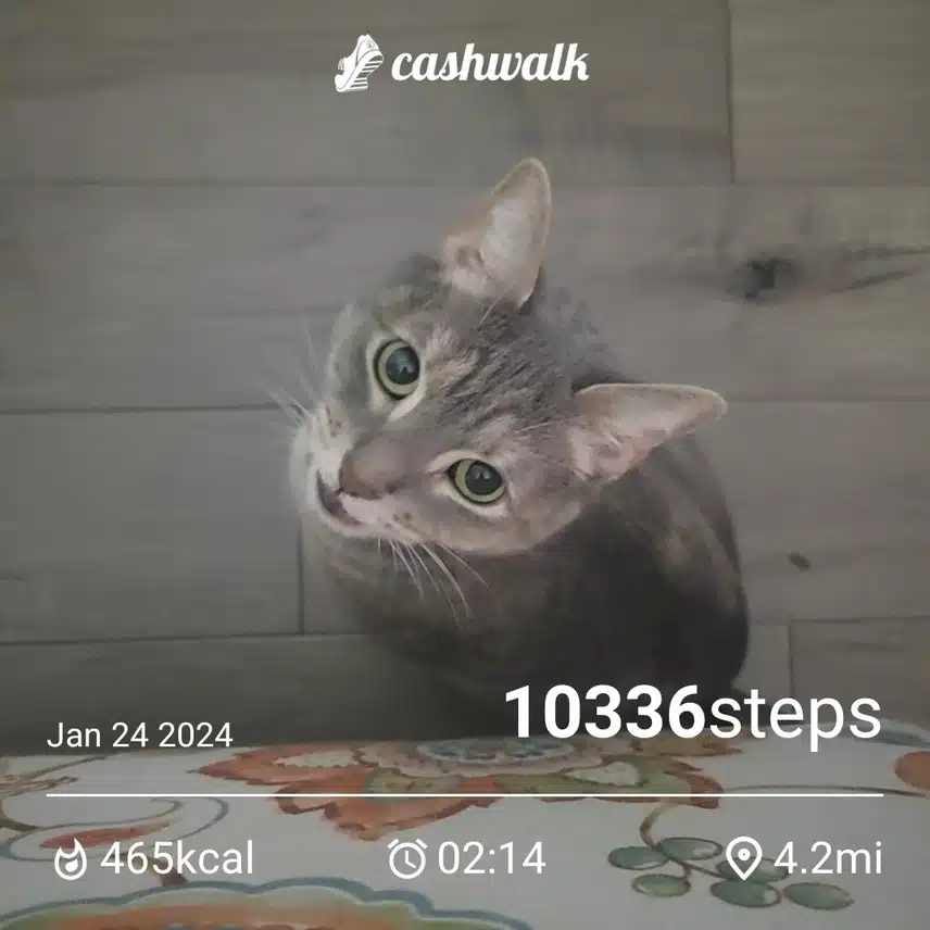 CashWalk_share_capture_20240124_1556bdcc-3e11-41e6-90c6-28fc3e30