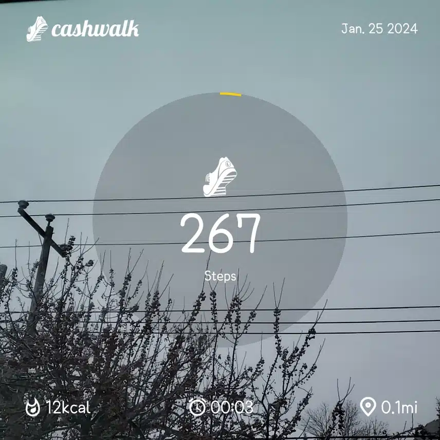 CashWalk_share_capture_20240125_954e7b1c-a2b0-4907-bc49-8019ffcc