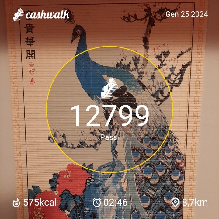 CashWalk_share_capture_20240125_6d4c97da-ed97-44b8-8b19-f2df89a2