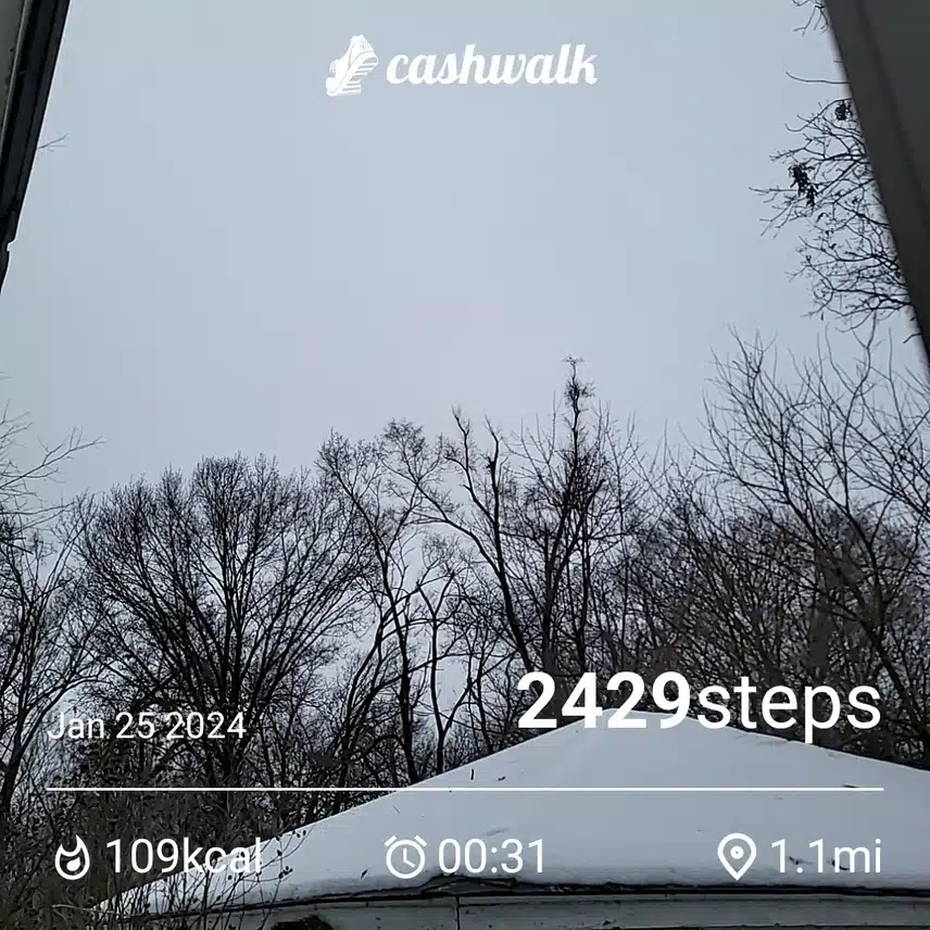 1000003208.jpg_resize