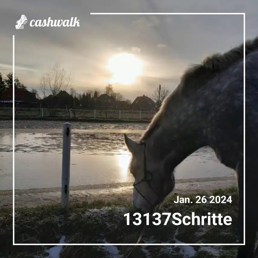CashWalk_share_capture_20240126_c5dc614c-47ca-4b99-9b24-8c35bf4c