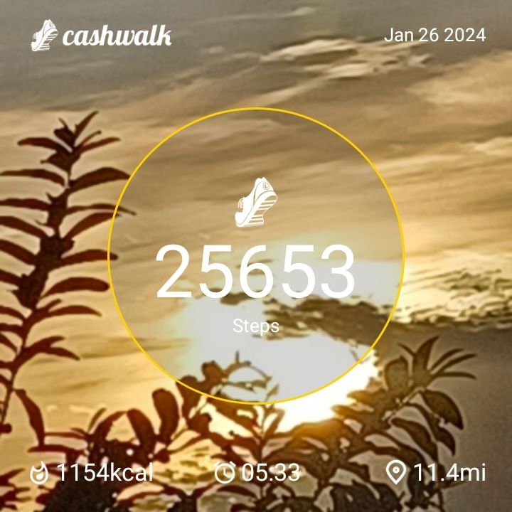 CashWalk_share_capture_20240126_e1315dae-9937-4d7a-a2b8-379a874c