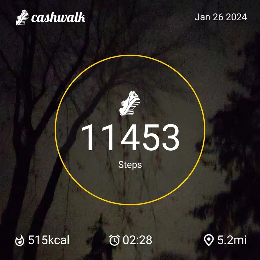CashWalk_share_capture_20240126_25dbf611-c42b-4d63-9bd1-61cec185