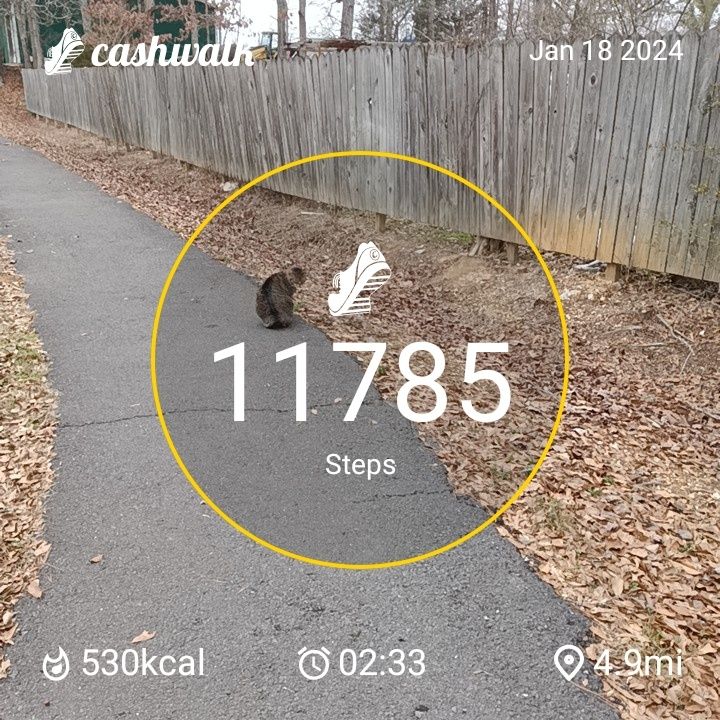 CashWalk_share_capture_20240118_6739a306-5966-4347-91c9-bdc157e3