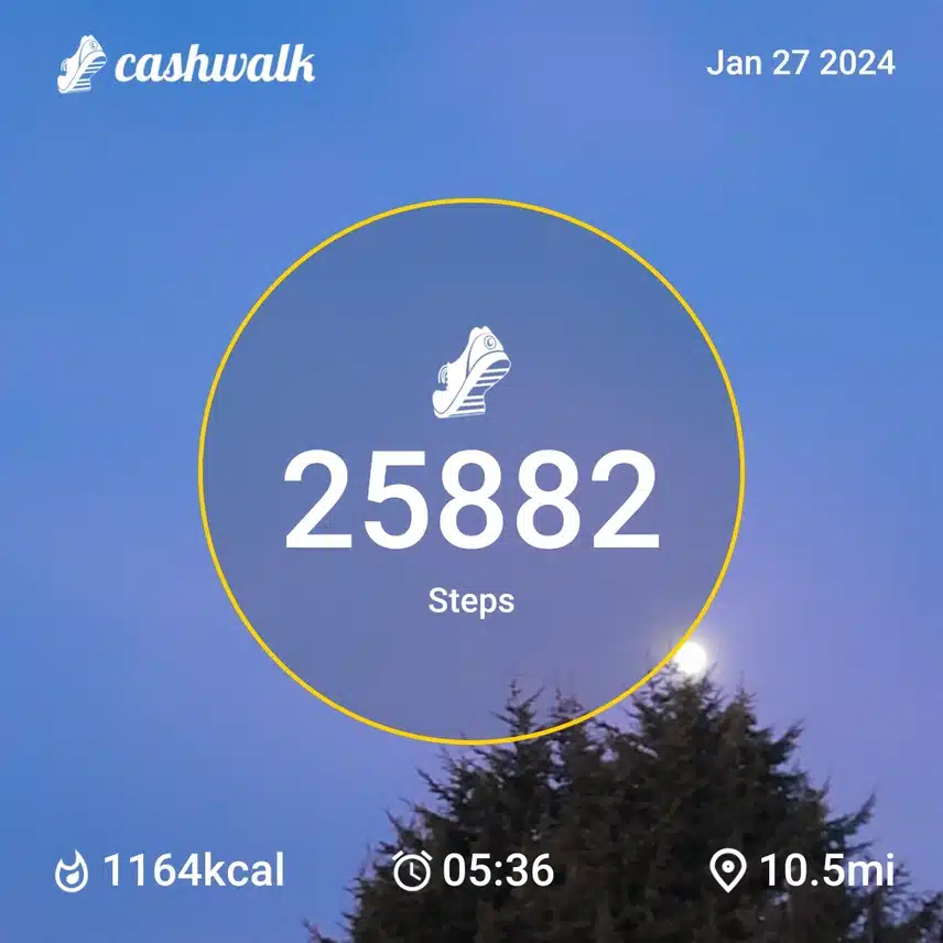 CashWalk_share_capture_20240127_5504802c-3646-45f1-820f-fb4df898