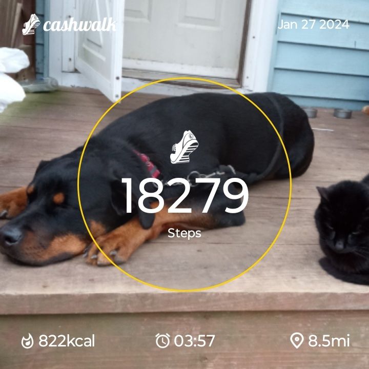 CashWalk_share_capture_20240127_ee2b22fe-ff2d-4f4e-bebd-bb673b82