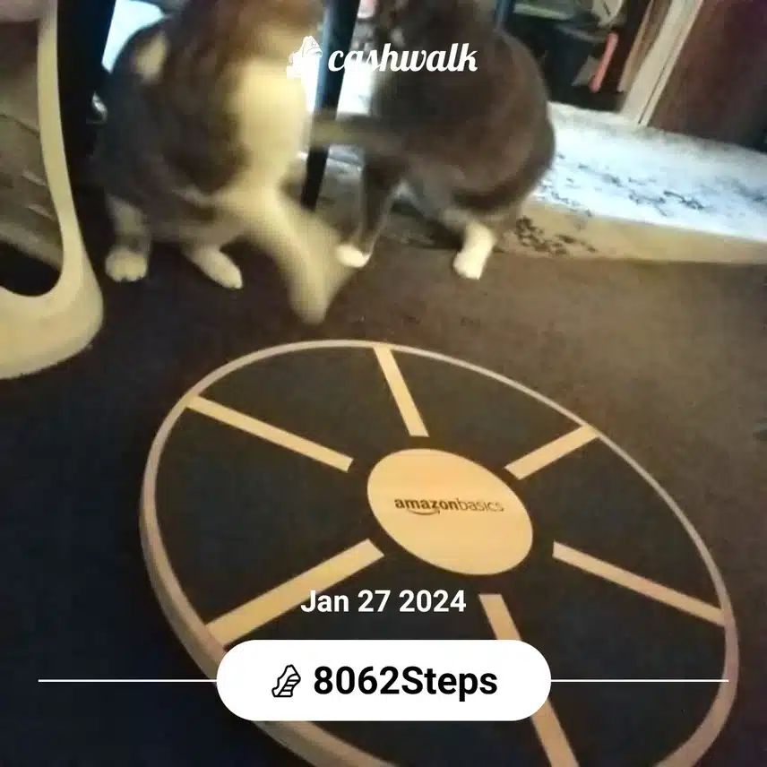 CashWalk_share_capture_20240127_d4eeffed-2288-4a95-847d-15976437