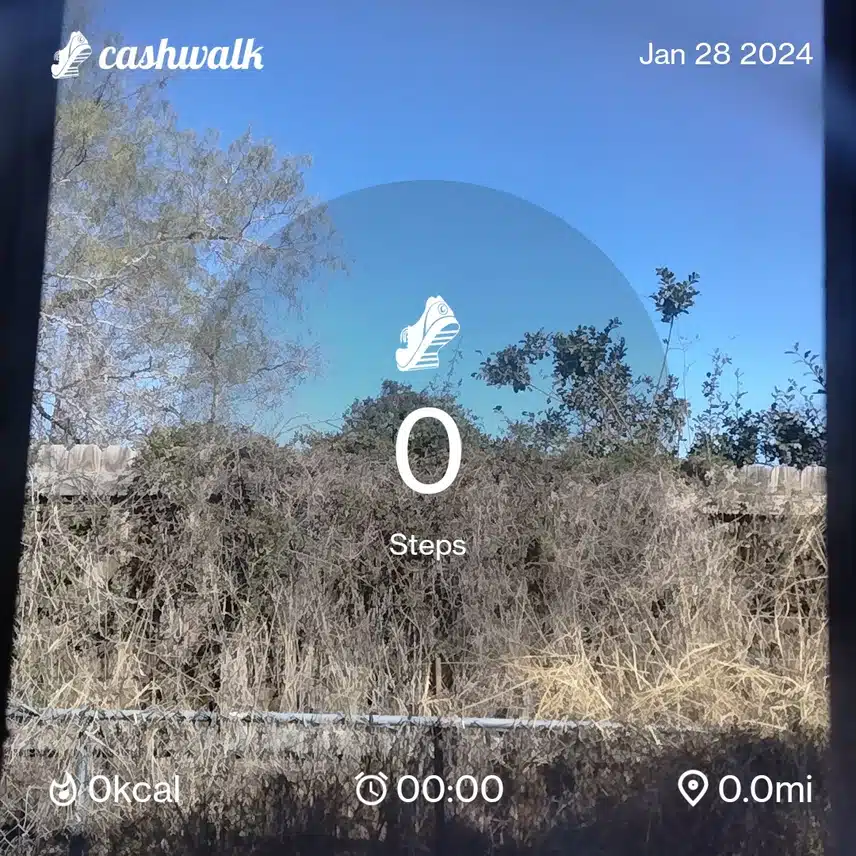 CashWalk_share_capture_20240128_8d8e8a12-852e-43ac-ad28-1892c0a9