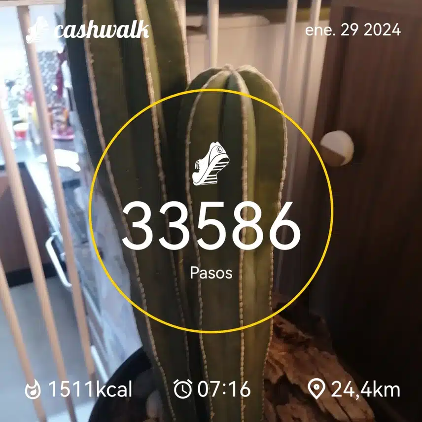 CashWalk_share_capture_20240129_8cfe0167-343b-414c-91f8-cbde86d3