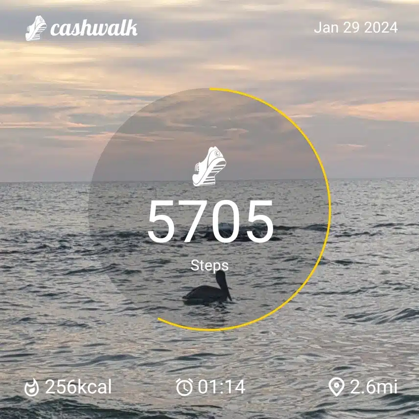 CashWalk_share_capture_20240129_7ef76da1-16d3-4ad8-af10-7e285c73