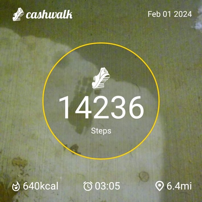CashWalk_share_capture_20240201_00224d7c-a35b-4062-9e67-1cb8cbfc