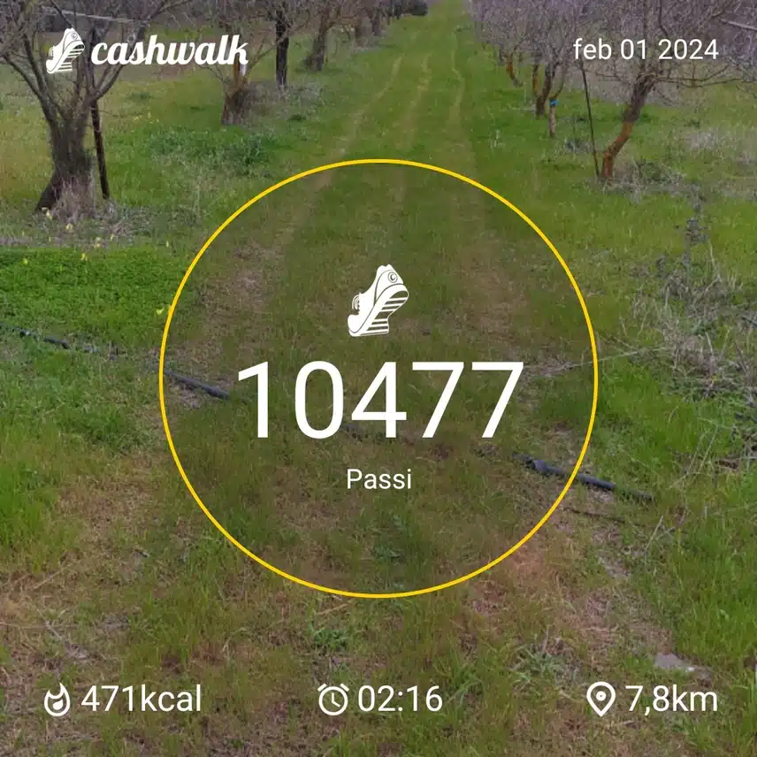 CashWalk_share_capture_20240201_f54e6f4b-595d-43f3-8c53-576cc994