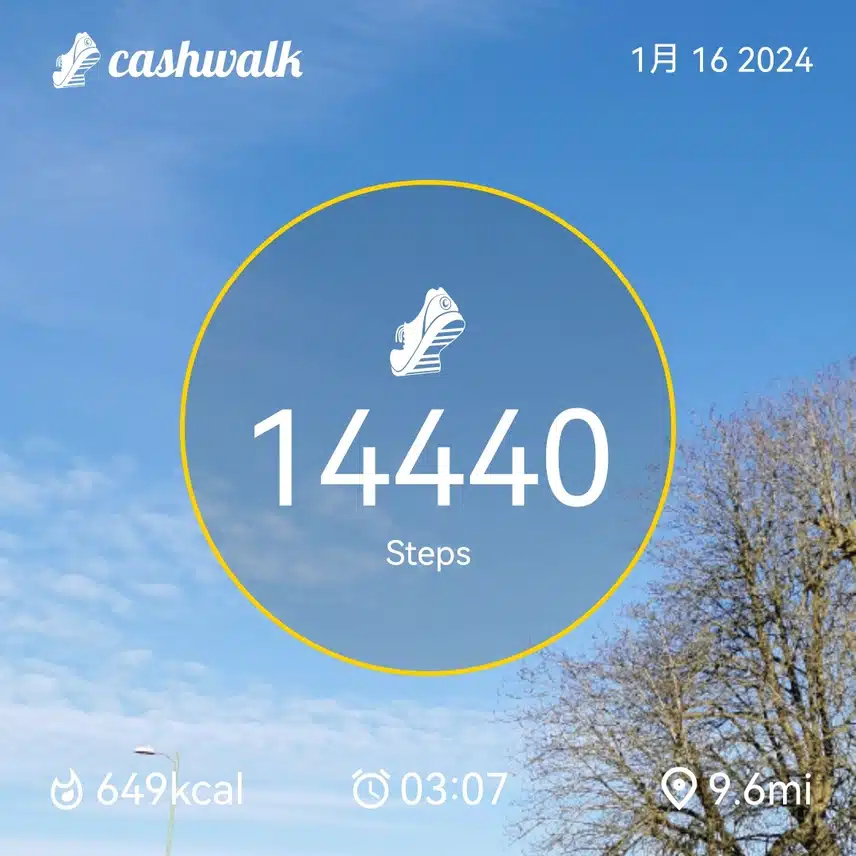 CashWalk_share_capture_20240116_bf606f49-6ec3-4437-b104-a7854af2