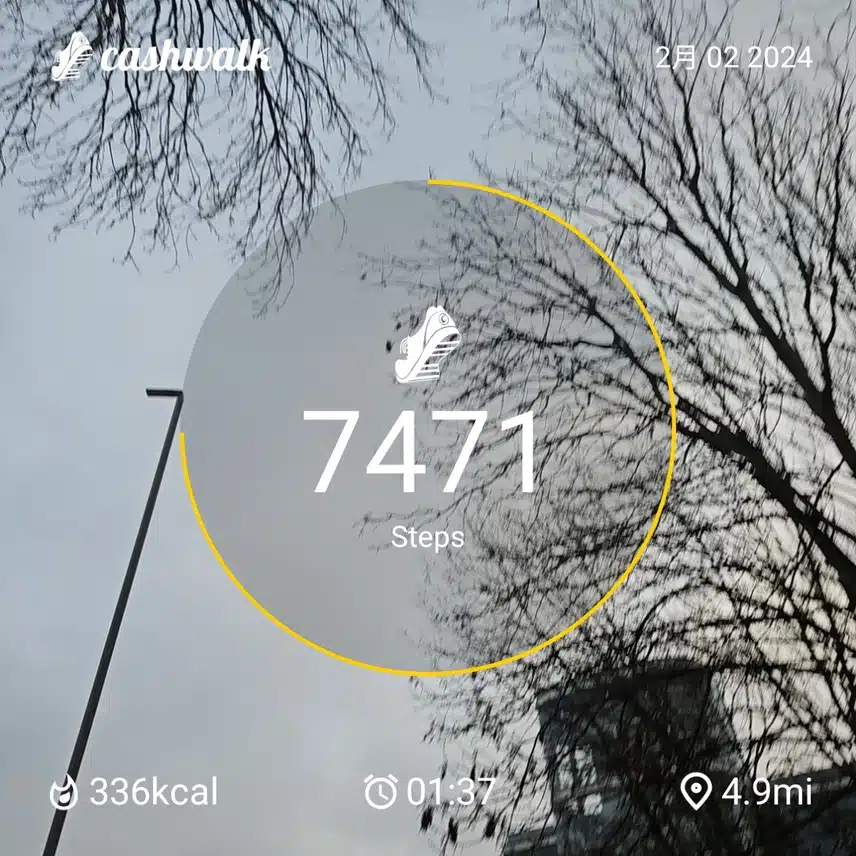 1000181644.jpg_resize