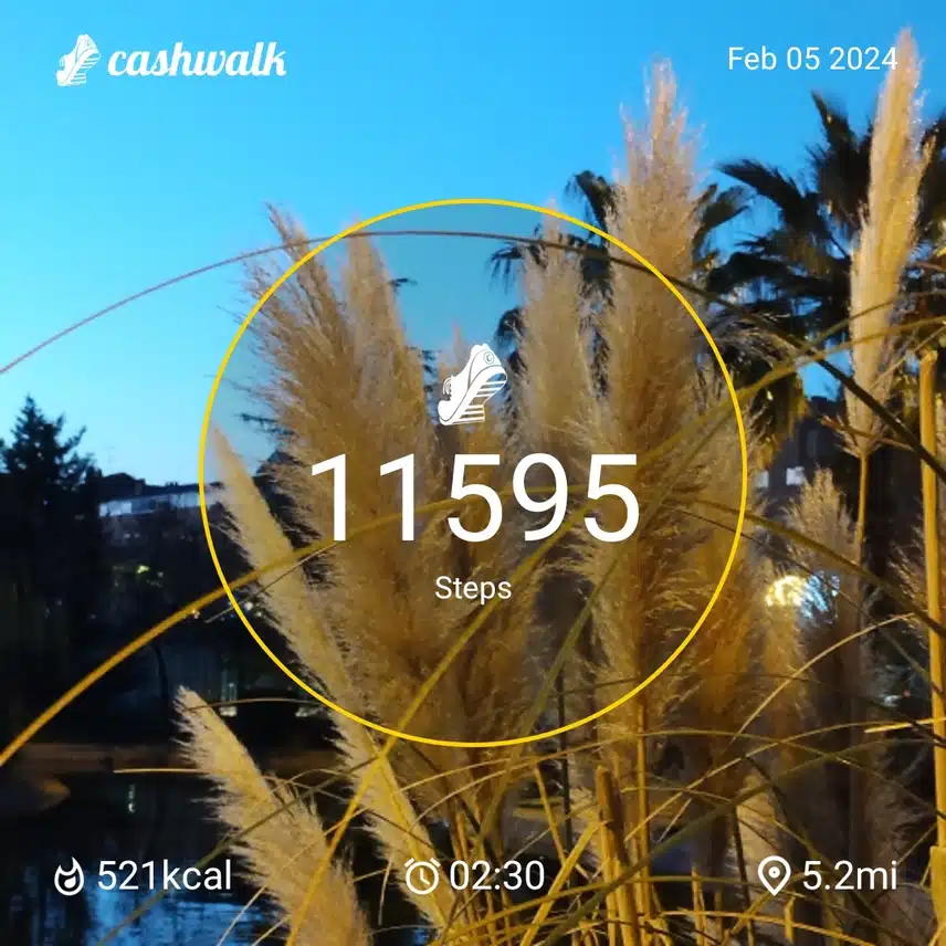 CashWalk_share_capture_20240205_42a1c378-f41a-43c2-95d7-e0f42f4d