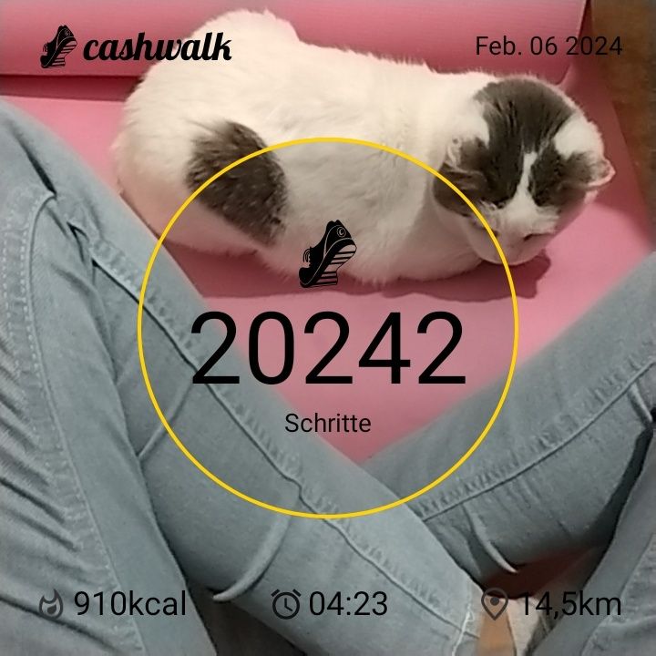 CashWalk_share_capture_20240206_c550c885-35e2-4b34-a007-25ac892f