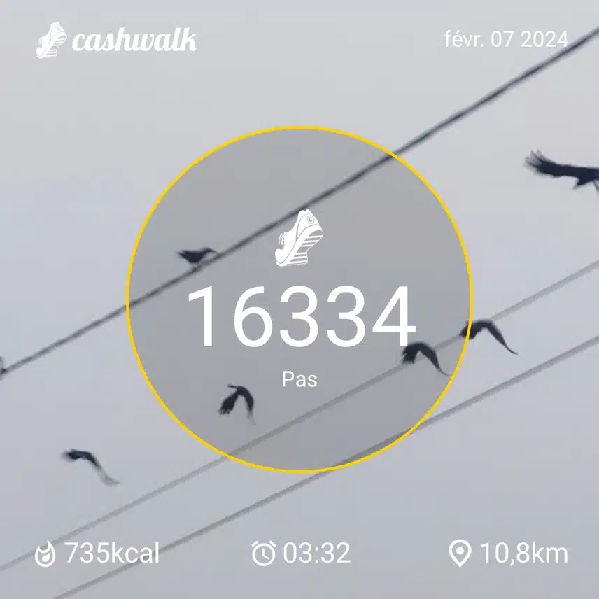 CashWalk_share_capture_20240207_83b21ac8-3a9e-46c0-a8f6-72eff44a