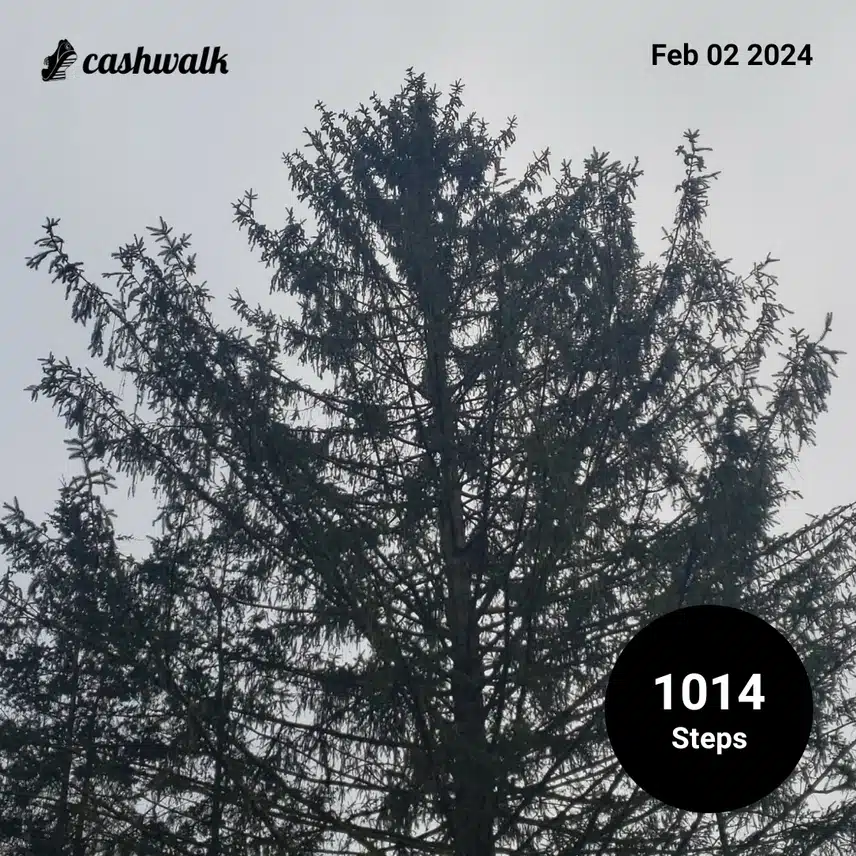 CashWalk_share_capture_20240202_7d5d4047-28d8-4458-9e42-efe0c75c