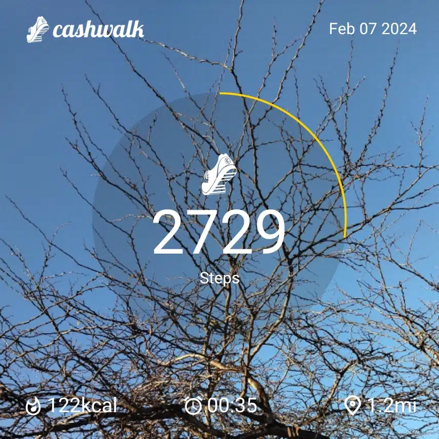 CashWalk_share_capture_20240207_2dee154f-5273-4159-9fae-524bc0e1