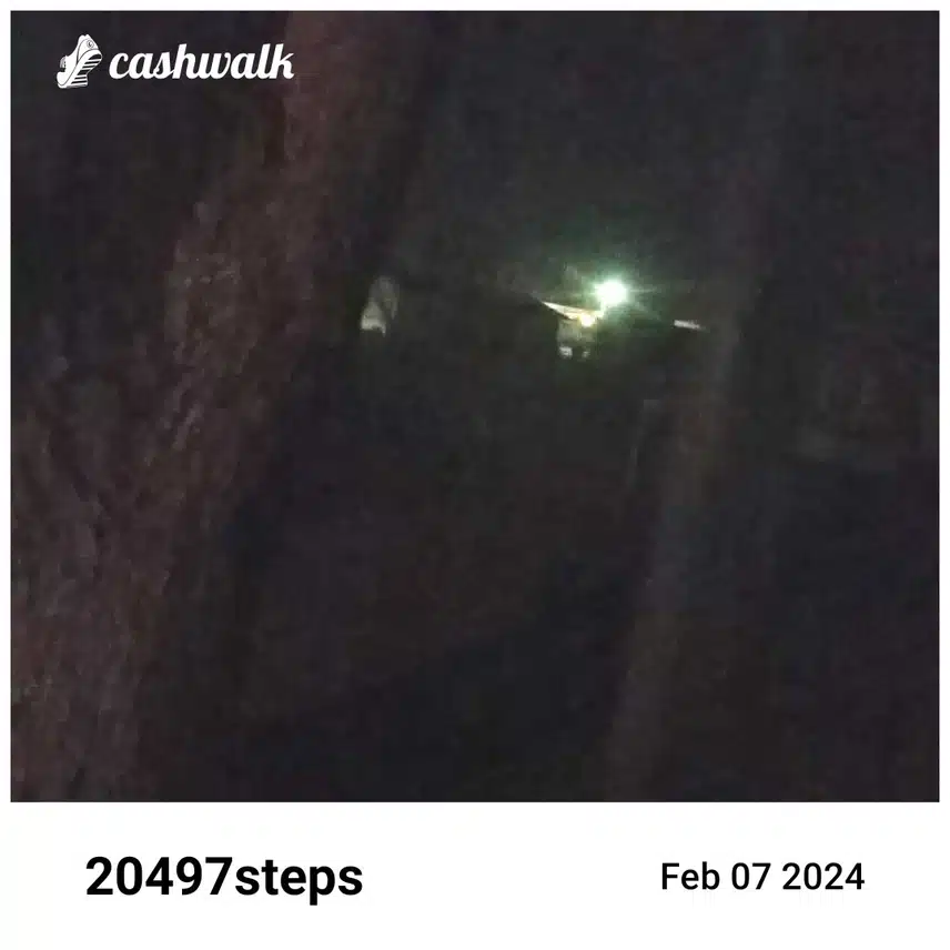 CashWalk_share_capture_20240207_62999fa4-eb7d-4279-bd98-42730a03