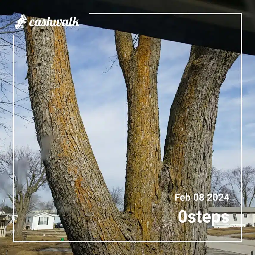 CashWalk_share_capture_20240208_83342bb5-1d8c-4d50-828a-170c2e1d