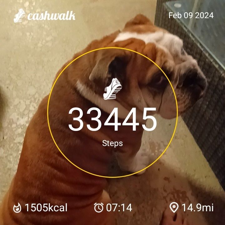 CashWalk_share_capture_20240209_f50096f5-2a78-4346-b230-2ec96378