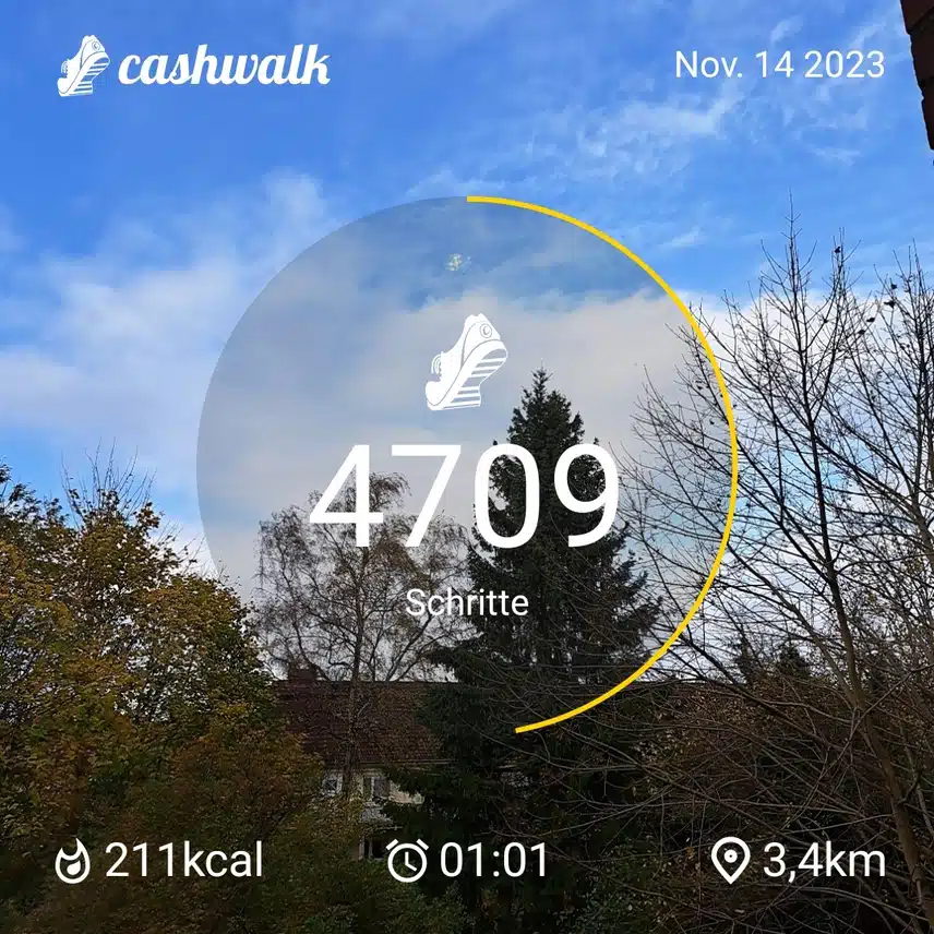 CashWalk_share_capture_20231114_1bbdefcc_6b85_4f33_ad63_fc90c072