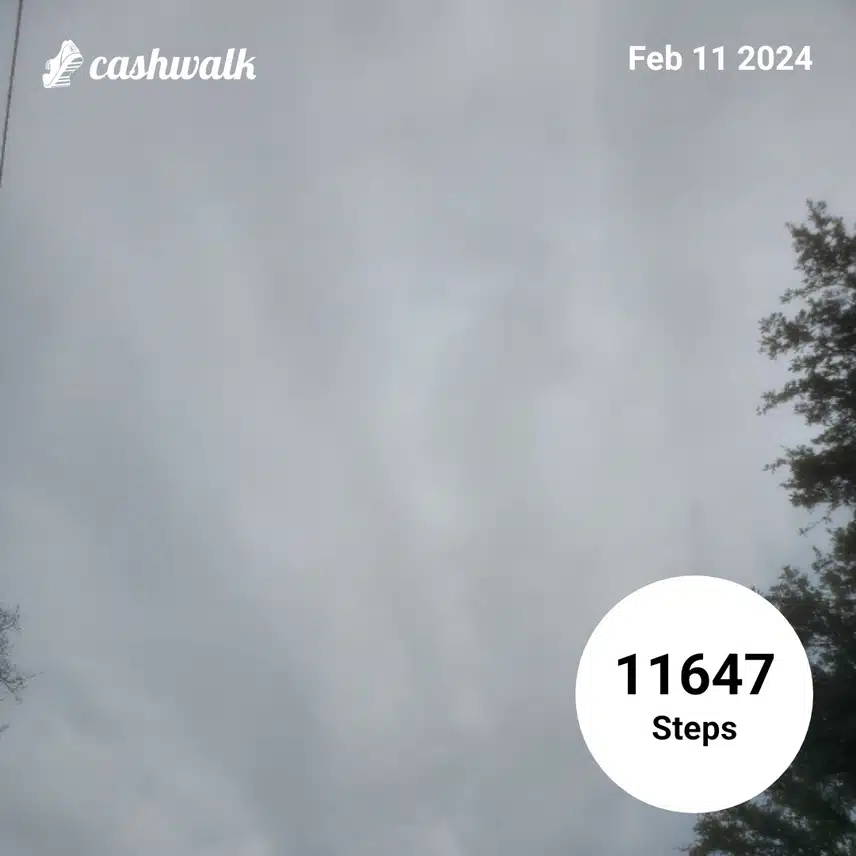 CashWalk_share_capture_20240211_4ed7037c-a688-43a4-ab8a-b15342e8