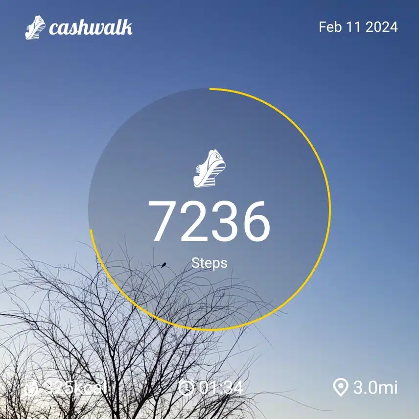 CashWalk_share_capture_20240211_49b288ef-b590-4ac7-93d1-9a671342