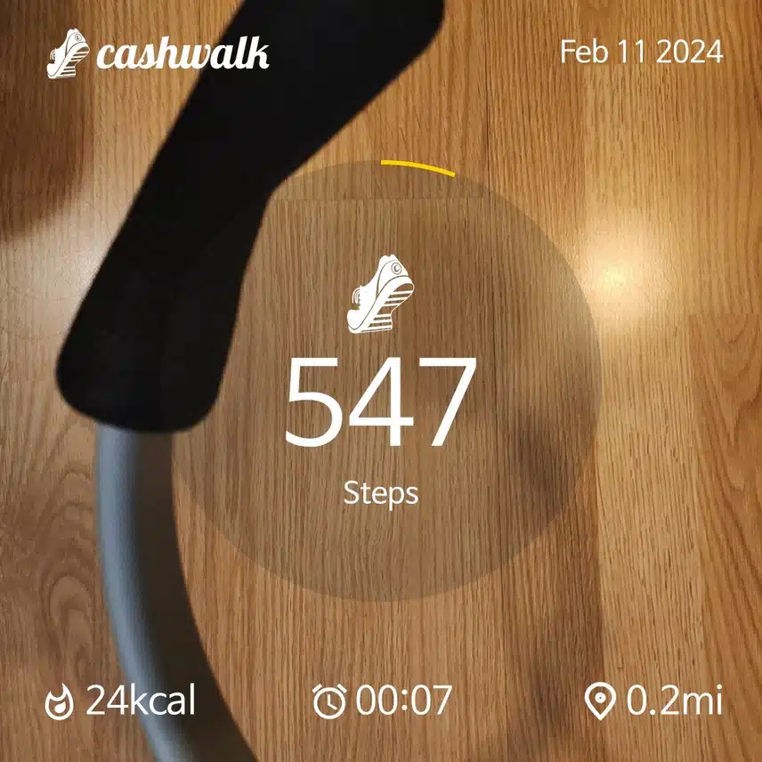 CashWalk_share_capture_20240211_ffb06380-797e-4d49-8fb7-6068a5ad