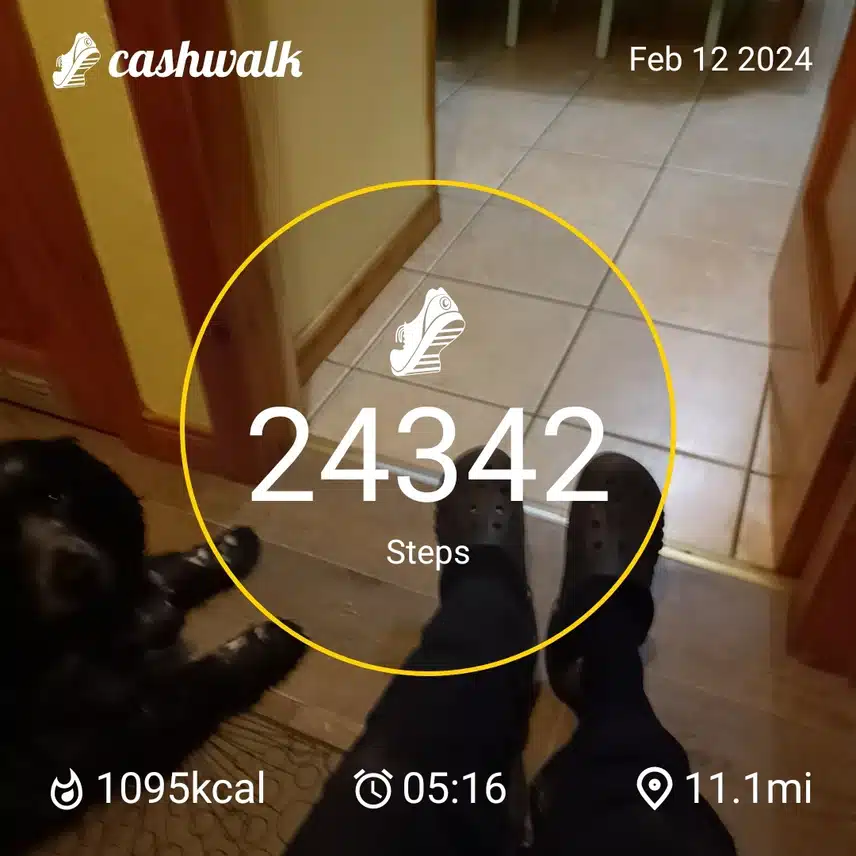 CashWalk_share_capture_20240212_11d86c22-cecf-45d5-823a-f96b16c3
