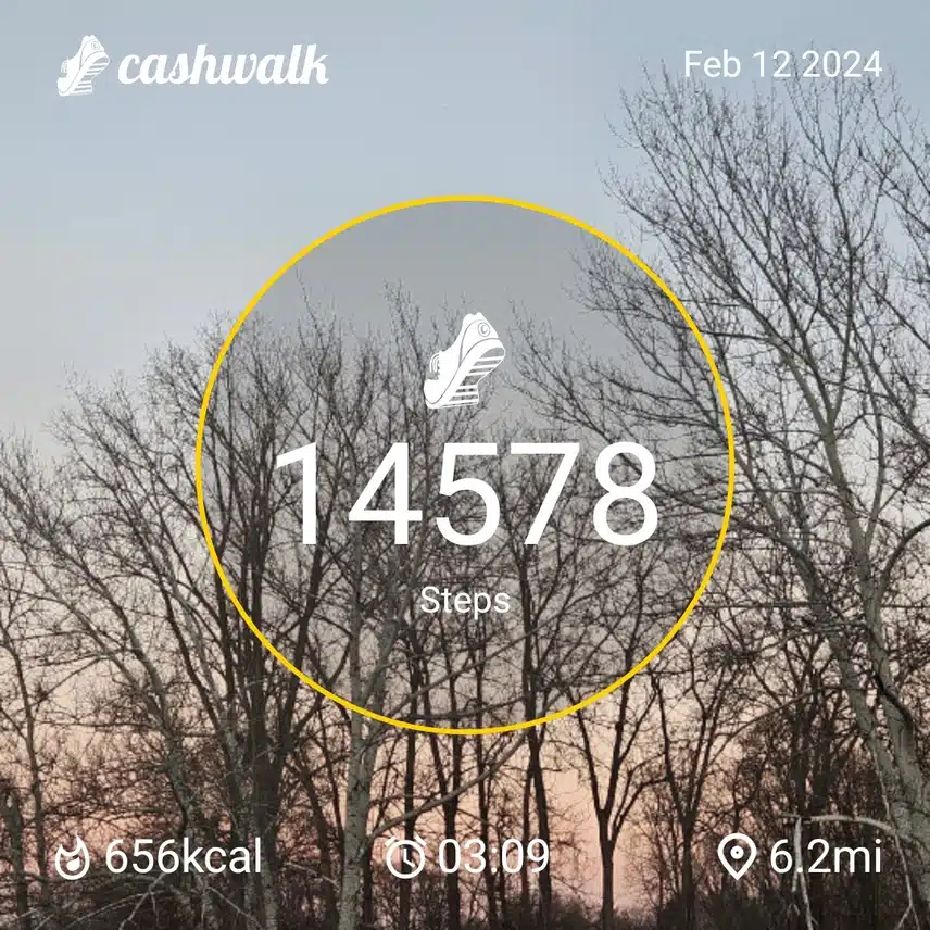 CashWalk_share_capture_20240212_9d8ee3a2-fa40-433b-addc-13f97af2