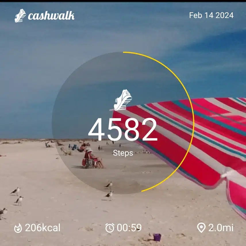 CashWalk_share_capture_20240214_02c3113f-8e5d-4eb5-a05e-dd0be4ac