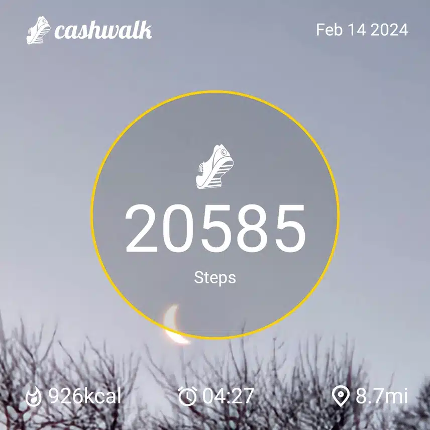 CashWalk_share_capture_20240214_e6fad203-d46d-4eb9-b4d0-5c6f539c