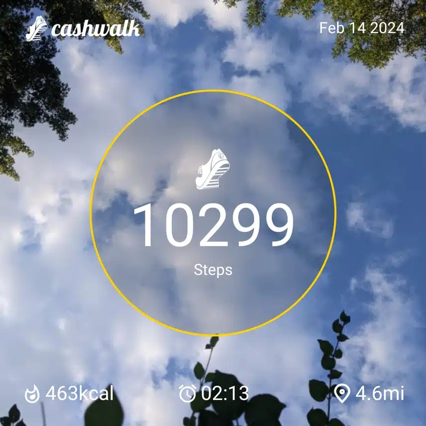 CashWalk_share_capture_20240214_aaca4f81-82d3-44cb-98c6-c479ebec