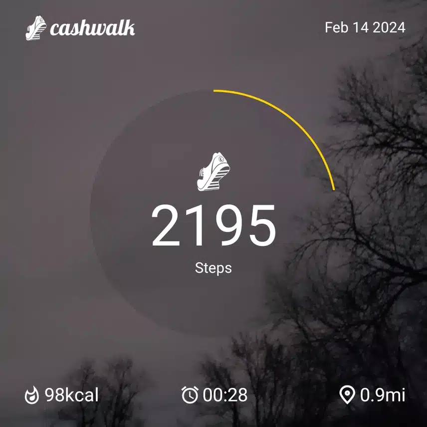 CashWalk_share_capture_20240214_fcaebbf4-4a14-4cc3-b38a-389b019f