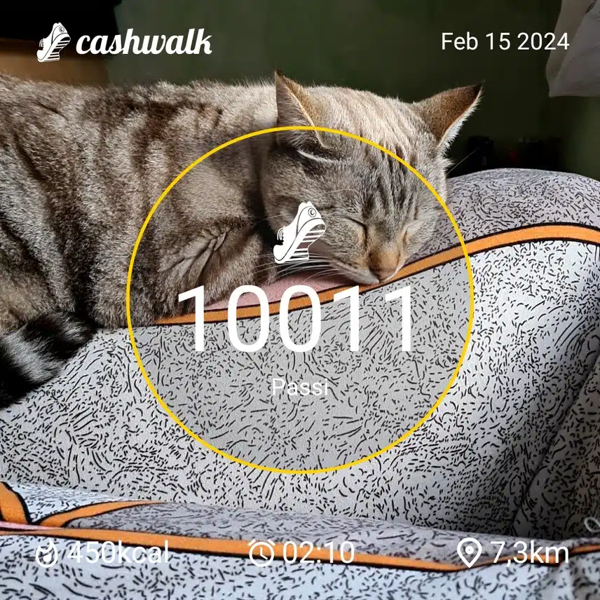 CashWalk_share_capture_20240215_6270ad1c-25cc-43b6-85b7-0eb7459e