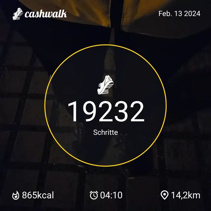 1000005381.jpg_resize