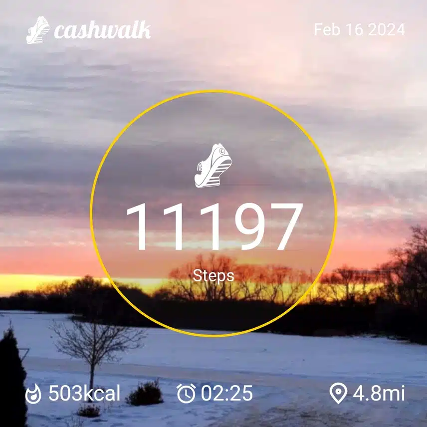 1000096056.jpg_resize