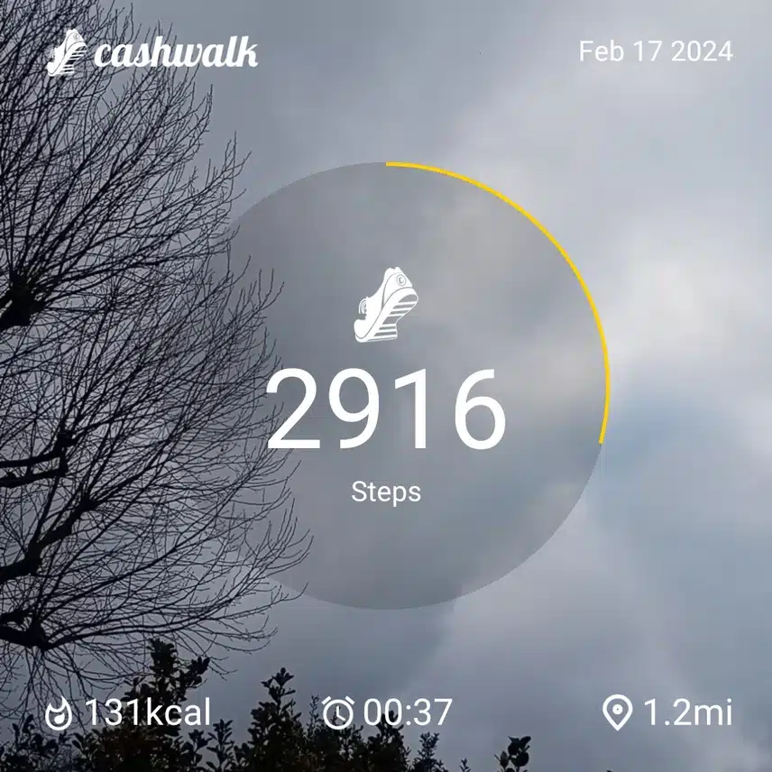CashWalk_share_capture_20240217_e4556113-85c6-4fcb-9bdf-21c1d682
