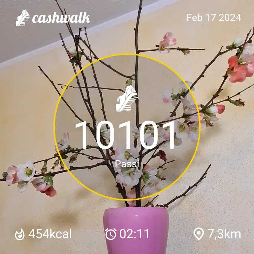 CashWalk_share_capture_20240217_0ea6561c-a371-4a82-be6e-a6671353