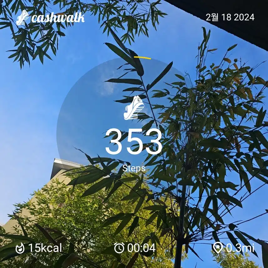 1000002133.jpg_resize