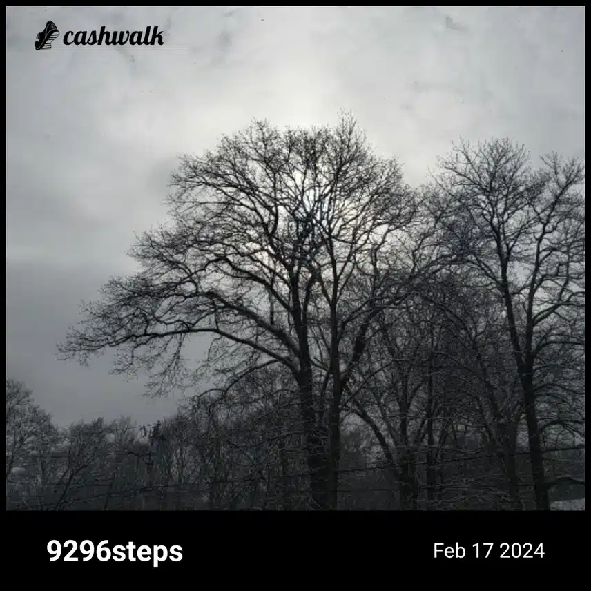CashWalk_share_capture_20240217_d256a80f-c563-405b-9a6e-2b8b7df3