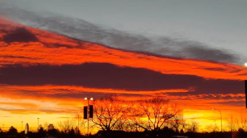 Screenshot_20240219-101122~2.png_resize